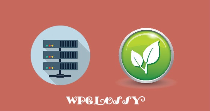 Best Green Hosting Service Providers best-green-web-hosting-companies