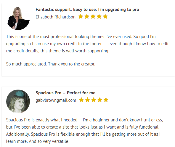 reviews-spacious-theme