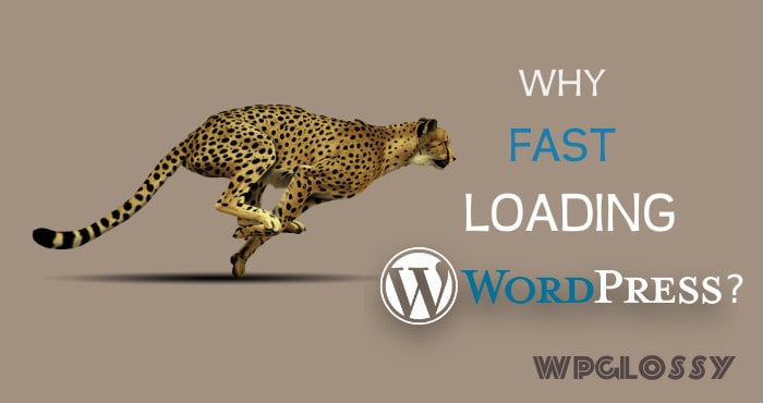 why-fast-loading-site