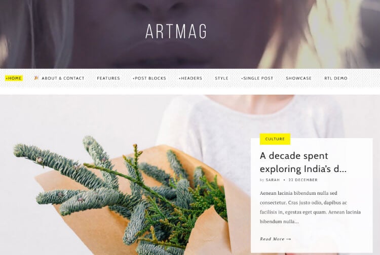 artmag-video-header-wp-theme