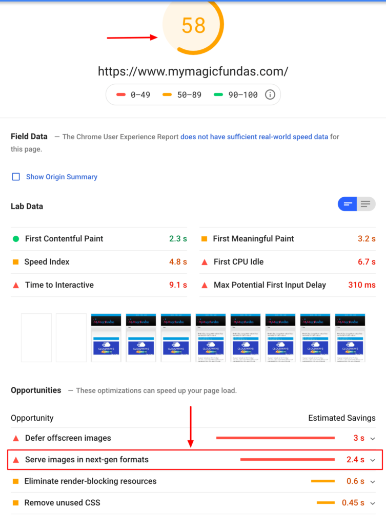 serve-next-gen-format-pagespeed-insights