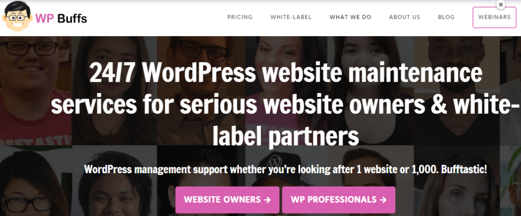 wp-buffs-wordpress-maintenance-service