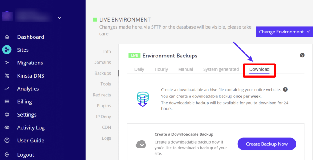 kinsta-backup-settings