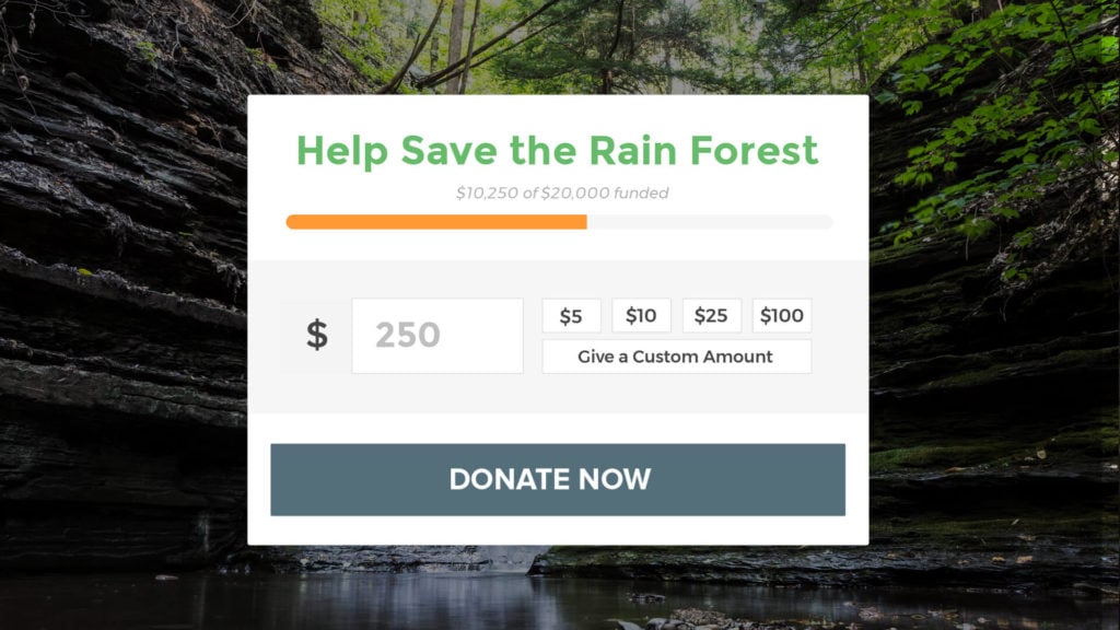 donate-wordpress-widget