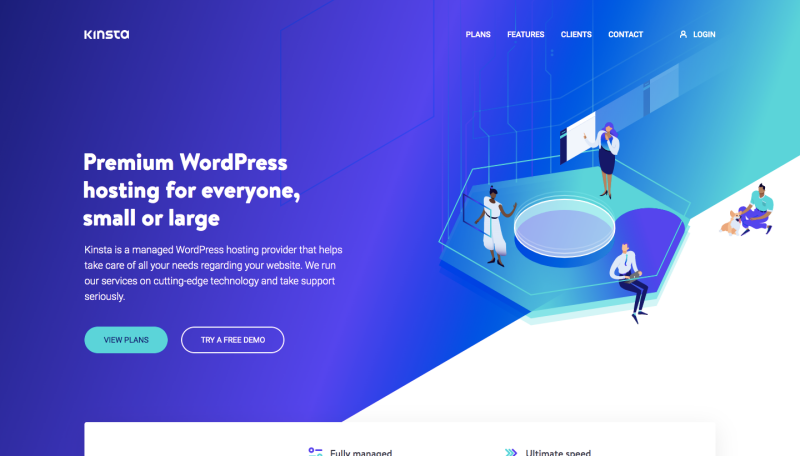 kinsta-hosting