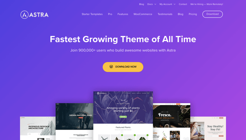 astra-wordpress-theme