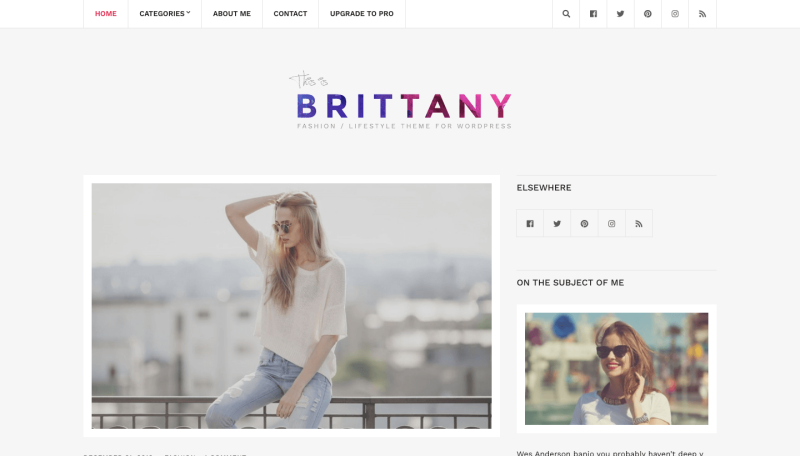 brittany-fashion-theme-free