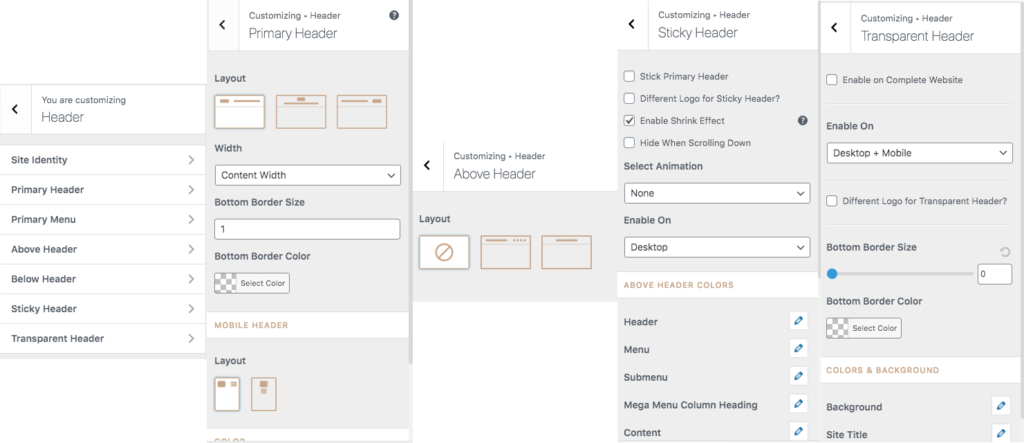 astra-theme-design-controls