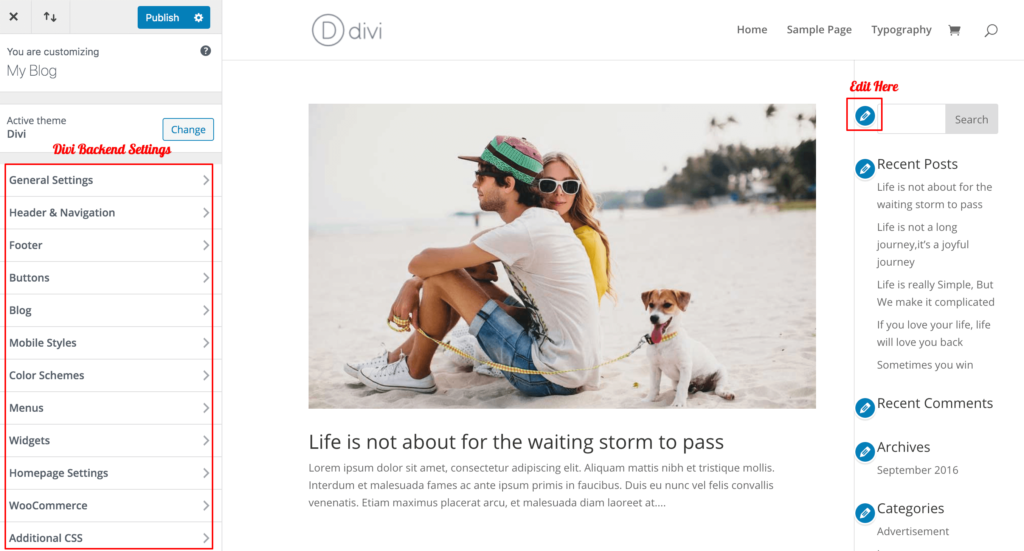 divi-theme-customizer