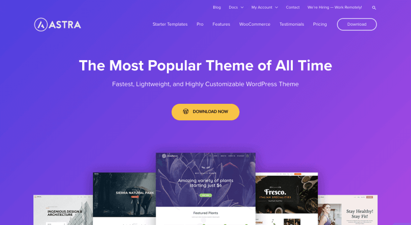 astra-fastest-wordpress-theme