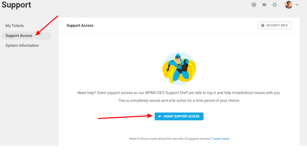 wpmudev-support-access