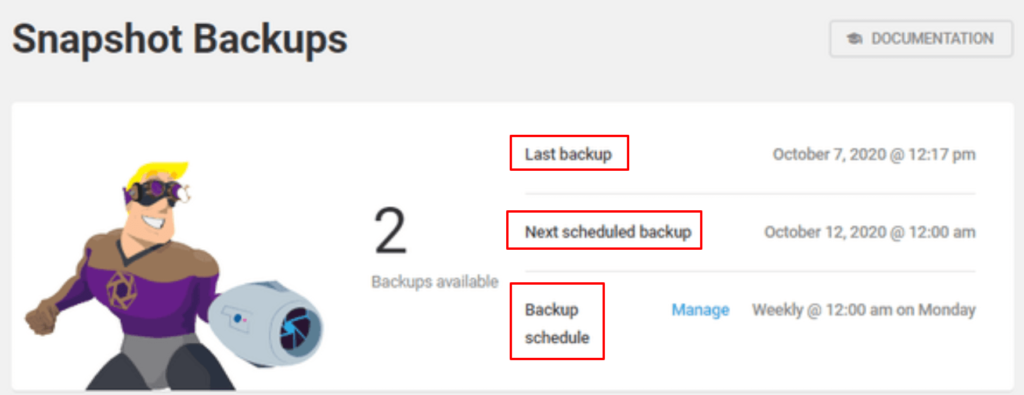 snapshot-pro-backup-details