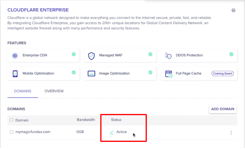 Cloudflare -cdn-domain-active