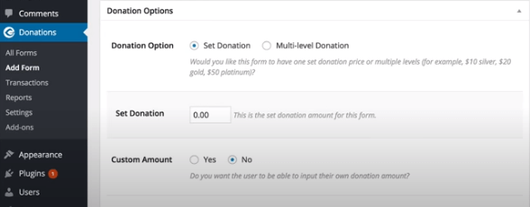 Customizing Plugin for Kindful Donation Button