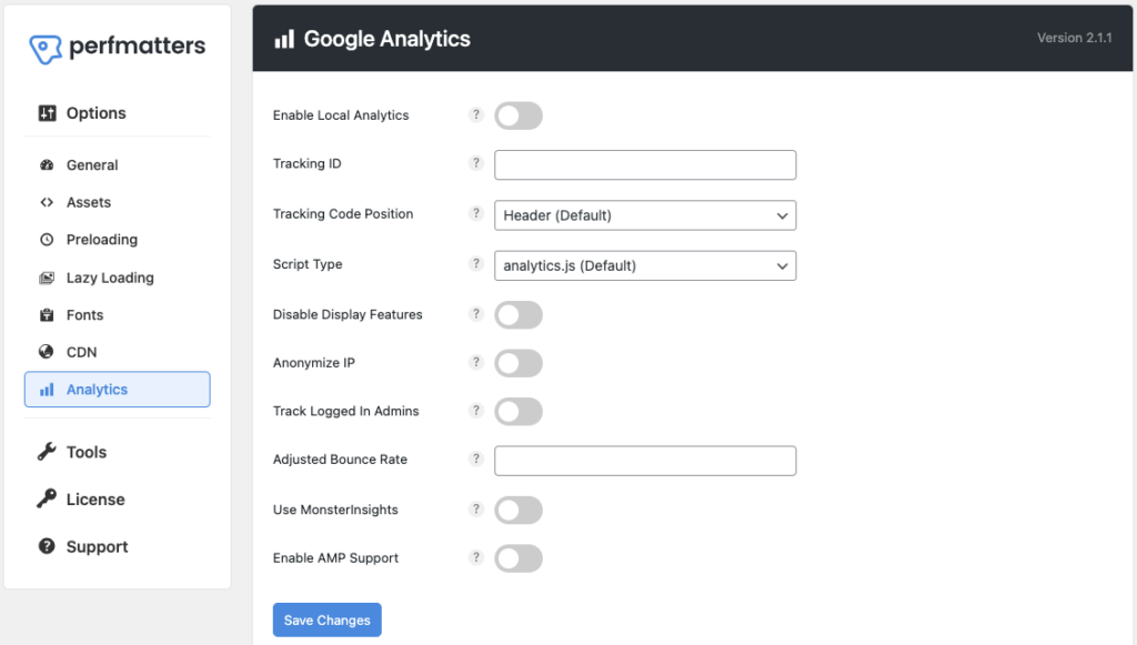 perfmatters-google-analytics-settings