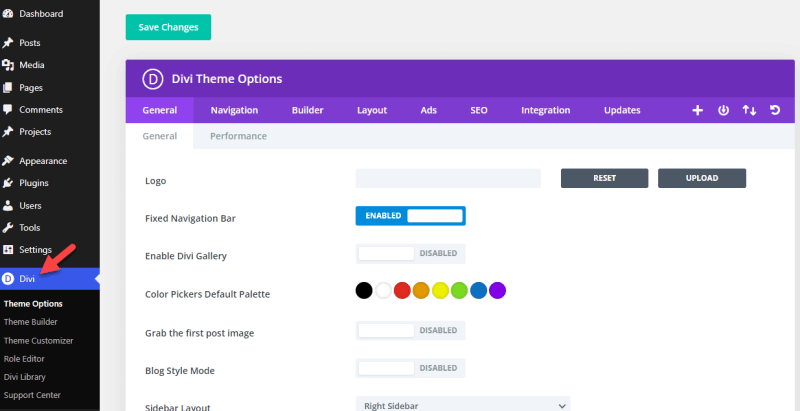 divi-theme-options