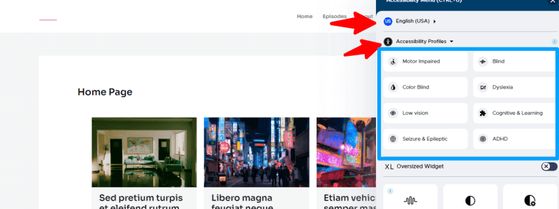 userway-plugin-features