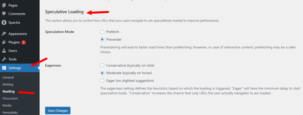 speculative-loading-plugin-settings